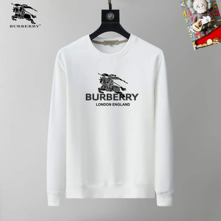 Picture of Burberry Sweatshirt _SKUBurberryM-3XL25tr21930774